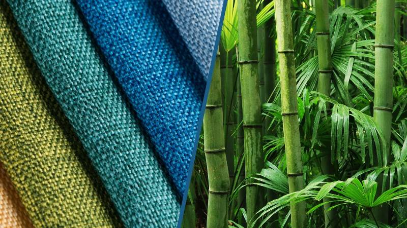 The Science Behind Bamboo Fabric: What Makes It So Special?