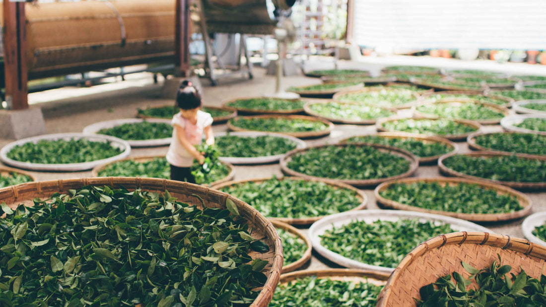Embrace Wellness with Ayurvedic Dyed Clothes: The 5 Benefits of Bamboo Fabric from Ayurvedic Clothing Manufacturers