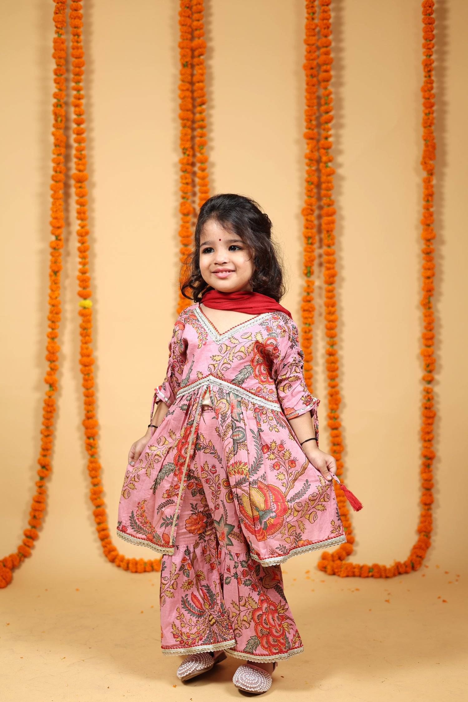 Petal Pink & Ruby Red Sharara Set