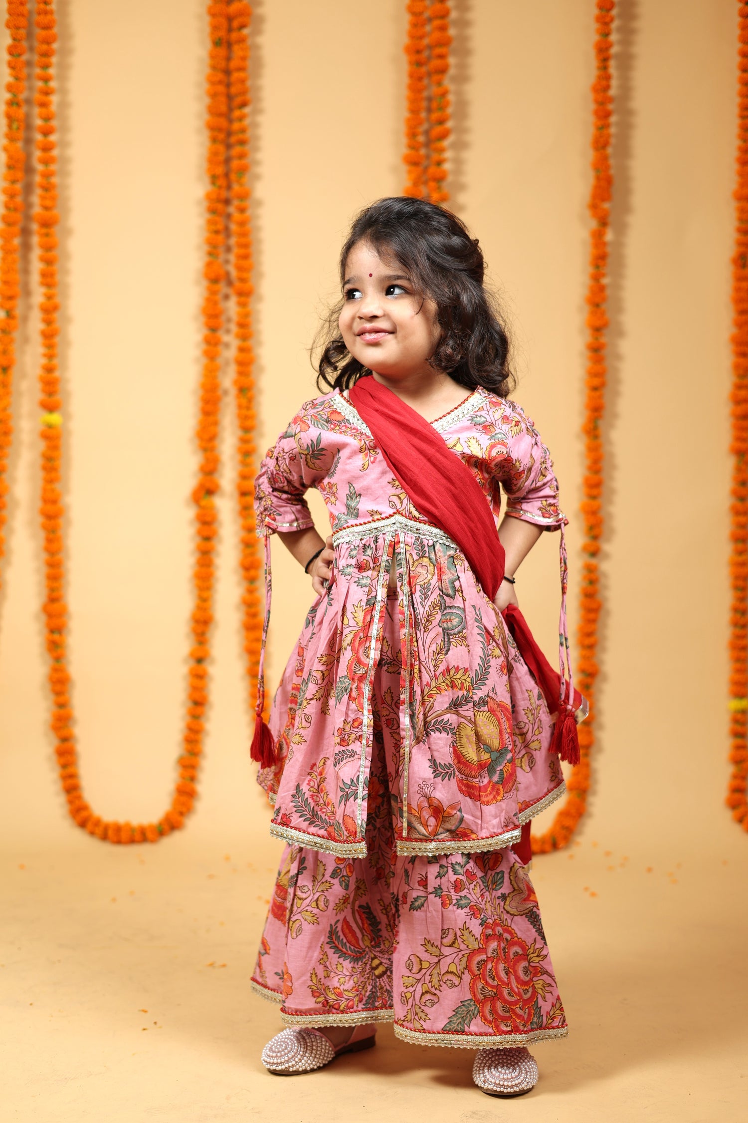 Petal Pink & Ruby Red Sharara Set